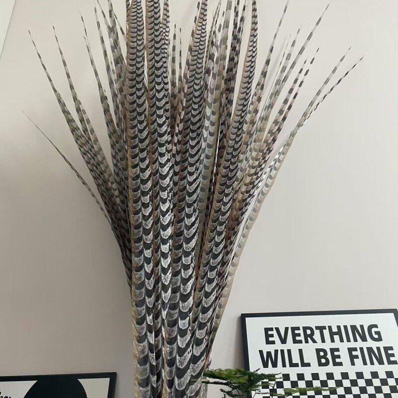 仿真京剧雉翎舞蹈头饰地羽俏花旦羽毛道具羽毛舞蹈道具英歌鸡毛图片