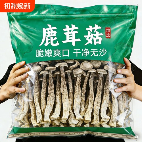 净鹿茸菇干货鹿茸菌古田菇新鲜农家特产蘑菇食材年货煲汤原味食用