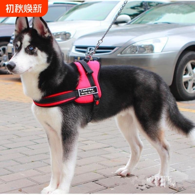Sports Dog harness set工作犬狗背带导盲犬胸背牵引带宠物护心带