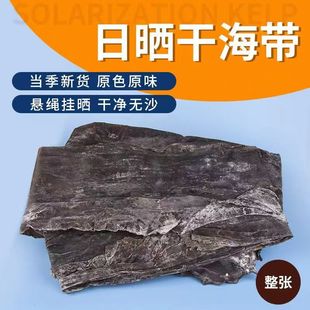 干海带批发商用 1斤2斤3斤干货凉拌火锅厚大号 新品 霞浦干海带