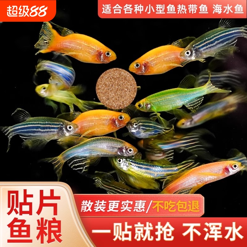 贴片鱼食小型热带鱼饲料孔雀鱼灯科鱼斗鱼金鱼红虫丰年虾通用鱼粮