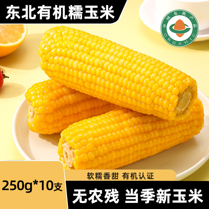东北有机黄糯玉米当季新鲜现摘软糯黄苞米棒非即食早餐主食真空