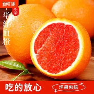 中华红血橙新鲜孕妇水果当季爆甜多汁头茬大果细腻化渣现摘速发
