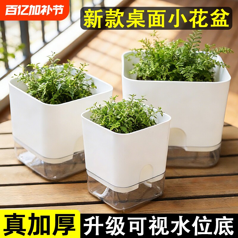 懒人花盆自动吸水盆正方形绿萝多肉塑料透明盆自吸水精致室内桌面