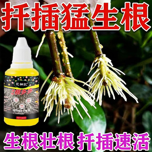 植物扦插生根剂玫瑰月季扦插生根液移栽种植生根粉壮苗植物活力素