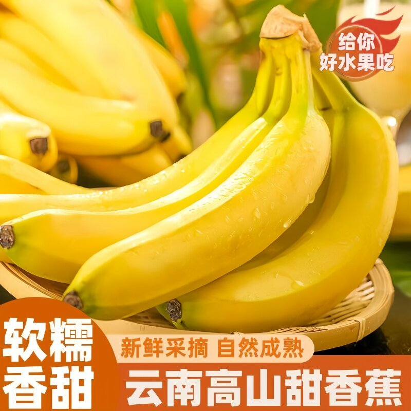 高山大香蕉当季新鲜水果青皮香蕉现摘香甜需催熟甜蕉甜香蕉香甜