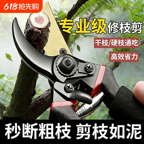 剪树枝剪刀专用花剪园艺园林修枝园丁剪嫁接强力采摘省力修水果树