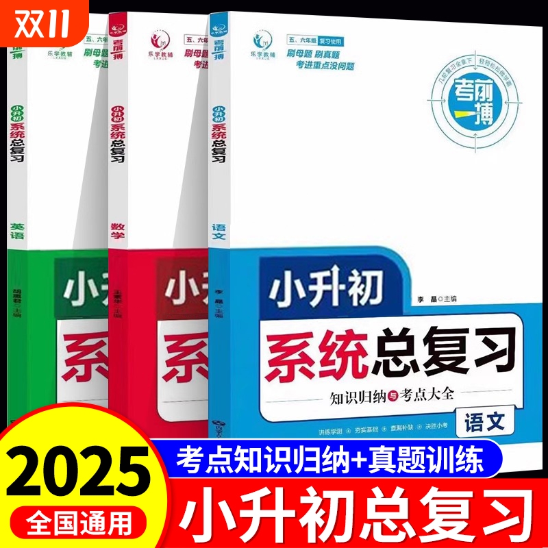 小升初系统复习人教版必刷题