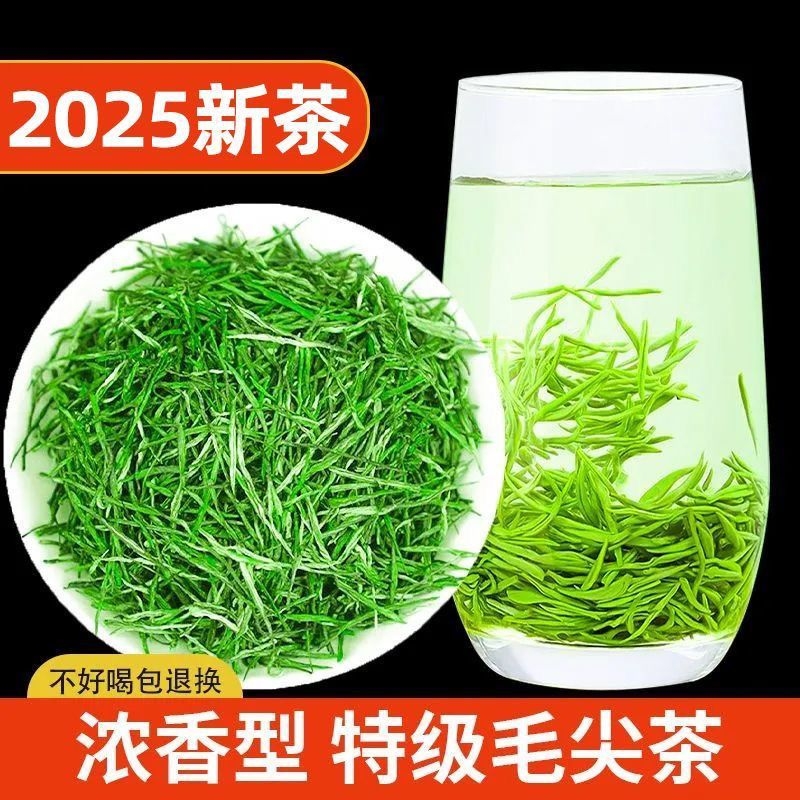 正宗毛尖茶2025明前嫩芽毛尖信阳绿茶批发新茶浓香型春茶散装炒青