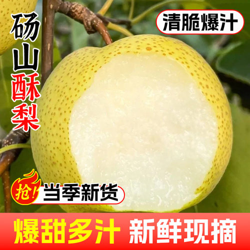 正宗安徽砀山酥梨4.5斤当季整箱梨子新鲜时令水果应季雪梨砀山梨