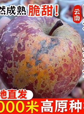云南昭通丑苹果冰糖心新鲜水果
