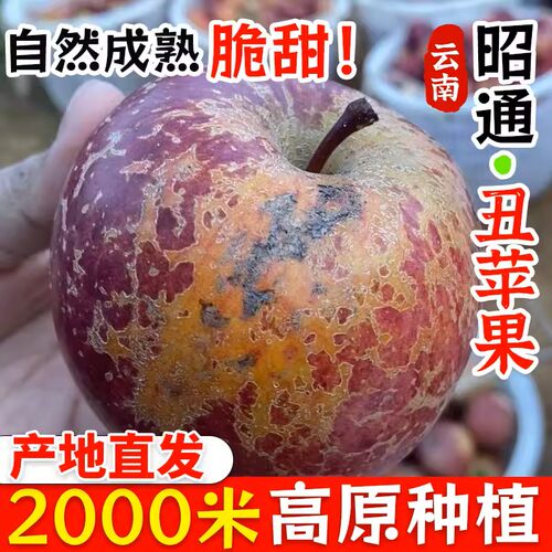 云南昭通丑苹果冰糖心新鲜水果