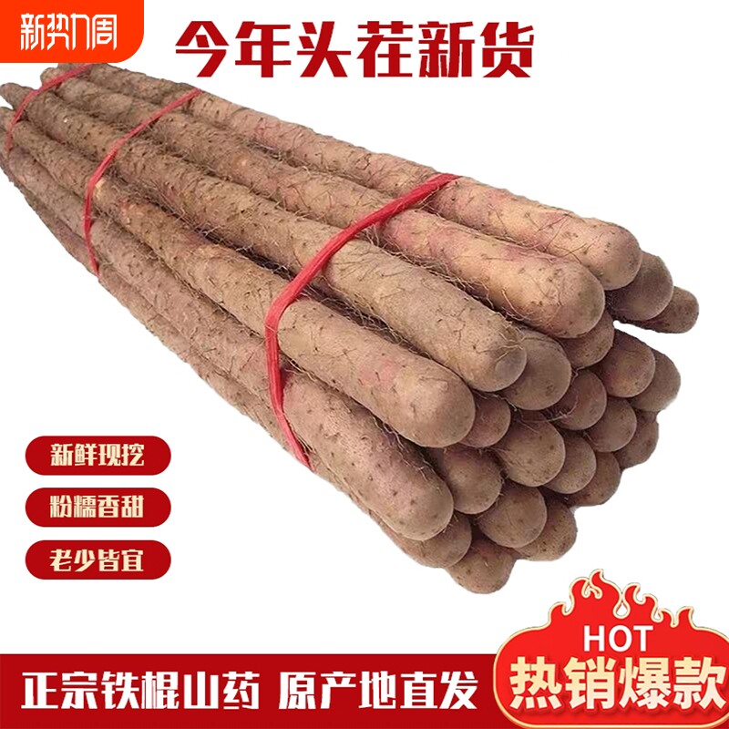 正宗铁棍山药河北小白嘴山药新鲜产地发辅食5斤包邮软糯