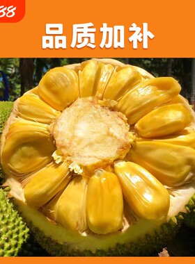 当季海南黄肉新鲜菠萝蜜一整个现摘干苞木菠萝特产热带水果