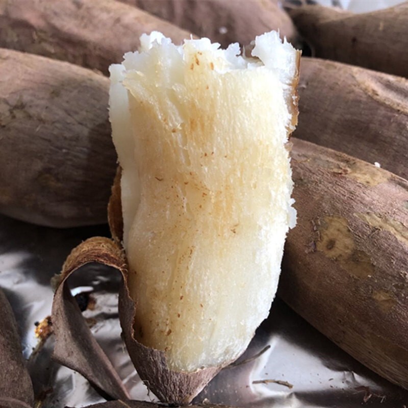 山东哈密冰糖薯新鲜白心蜜薯超甜农家自种糖心红薯沙地番地瓜
