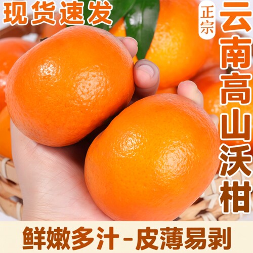 云南高山沃柑新鲜水果10斤当季整箱沙糖蜜橘柑橘易剥桔子橘现摘