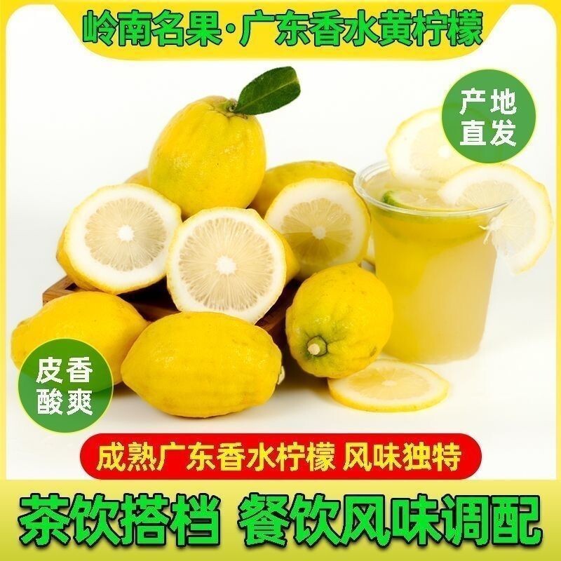 广东新鲜香水柠檬商用黄果比安岳香无籽泡水榨汁奶茶店专用整箱