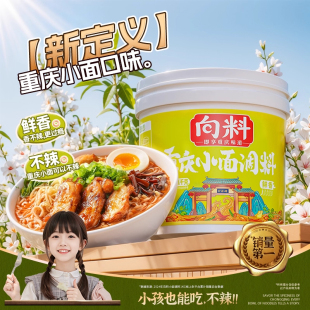 向料胖妹重庆小面调料调料面调料微辣正宗香辣家用凉拌不辣拌面酱