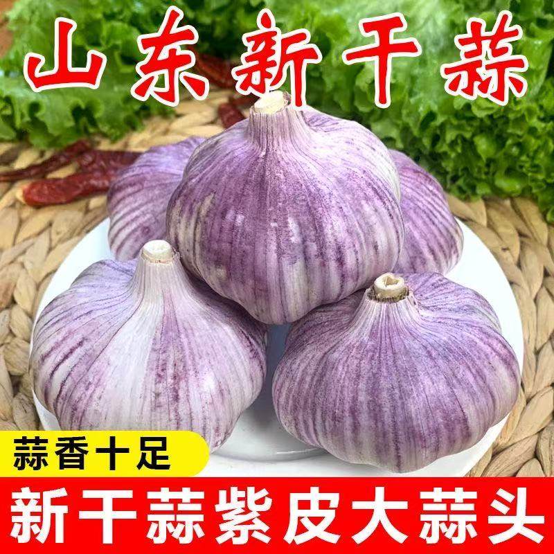 特价金乡紫皮大蒜干蒜批发新鲜特大号红皮大蒜子便宜蔬菜新鲜多瓣