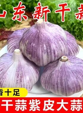 特价金乡紫皮大蒜干蒜批发新鲜特大号红皮大蒜子便宜蔬菜新鲜多瓣