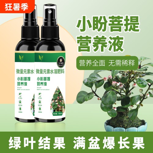 【防黄叶】小盼菩提专用营养液