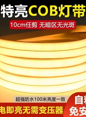 鼎雁超亮COB灯带LED高压220v户外防水客厅吊顶自粘软灯条室内圆弧