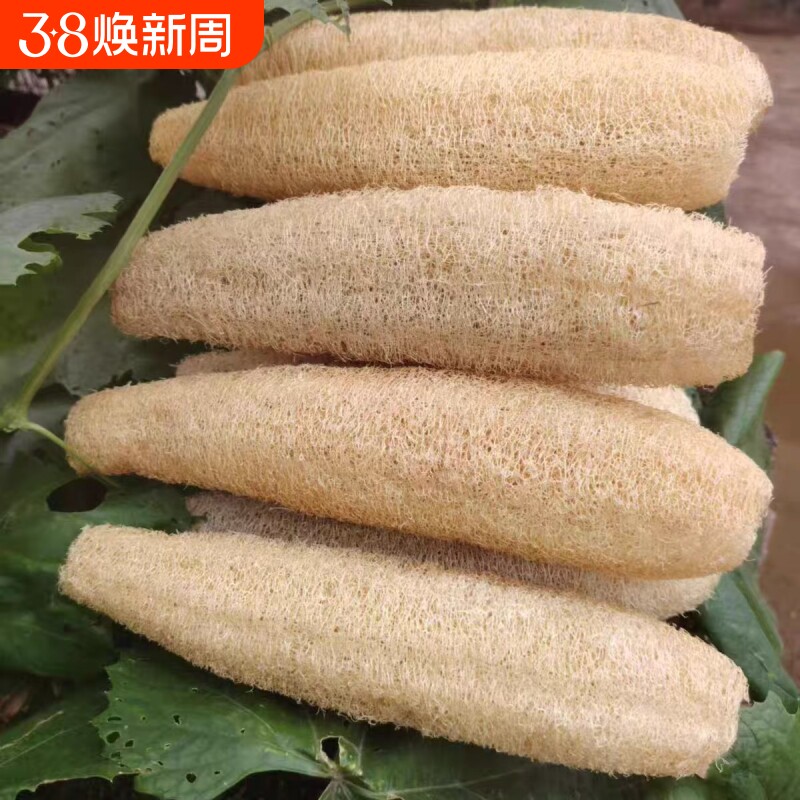 洗锅丝瓜瓤洗碗刷子丝瓜锅刷巾农家天然家用丝瓜筋茶壶垫杯垫厨房