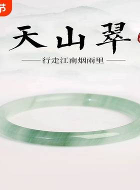 天山翠手镯手链精致女款细条玉镯仿冰透飘花款小众镯子半山细圆条