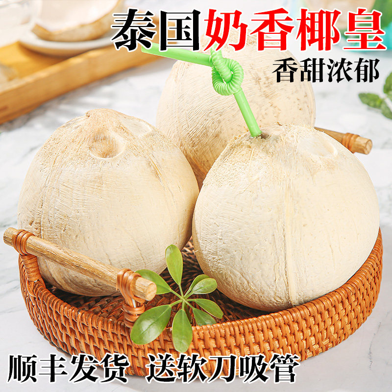 泰国进口牛奶椰皇新鲜椰子青椰汁奶香水果老椰肉煲汤整箱批发包邮