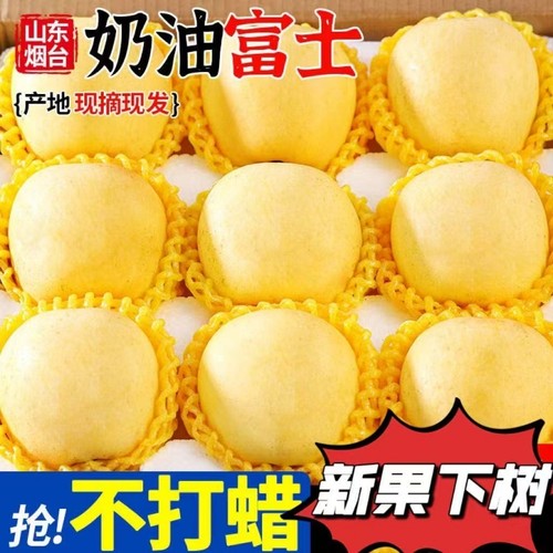 正宗奶油富士烟台苹果黄金红富士新鲜水果山东脆甜当季整箱礼盒