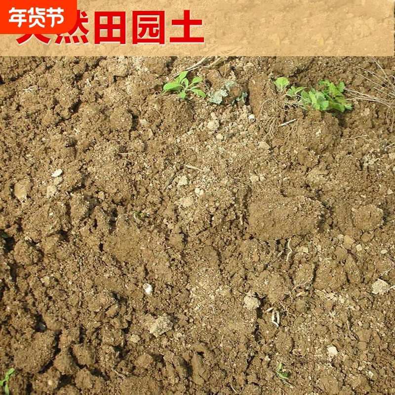 田园土沙土家庭园艺栽花种菜土壤 营养土大包黄土养花土泥土包邮