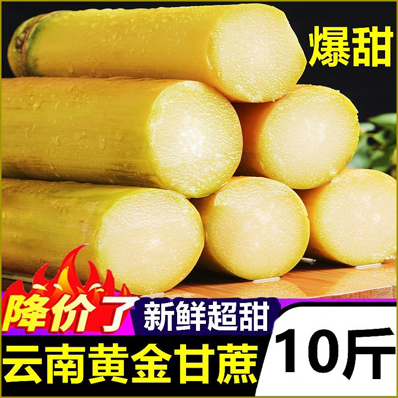 黄皮甘蔗新鲜水果当季特产水果黄金甘蔗脆甜多汁果蔗手撕