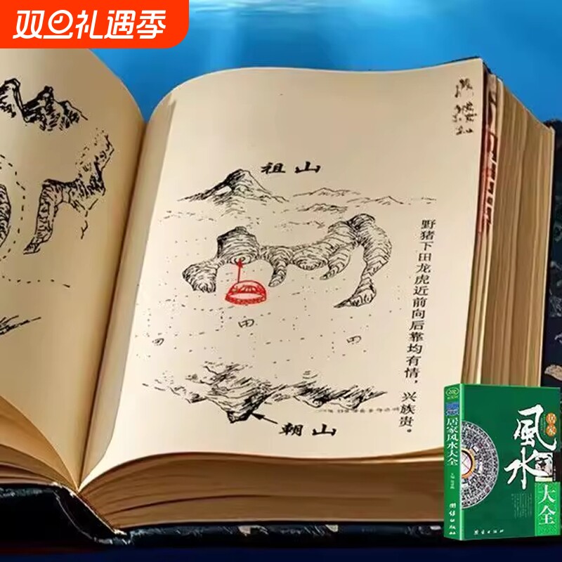 居家风水大全 易懂的风水入门家居风水书100忌现代化煞装修宝典住宅风水知识吉祥摆放建筑核心风水布局书家装家居风水学书籍畅销书