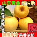 山东沂蒙山维纳斯黄金苹果带锈黄苹果脆甜应季 水果多汁当季