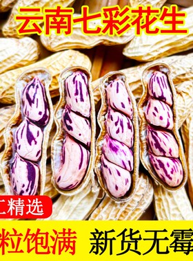 正宗云南七彩花生新鲜种子零食晒干牛奶花生米咸干水煮大粒果仁