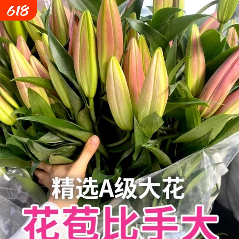 顺丰次日达香水百合花鲜花重瓣云南基地直发水培花卉用插花鲜切花