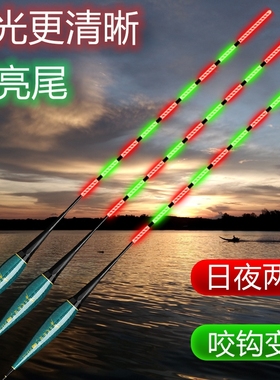 咬钩变色高亮尾电子夜光漂高灵敏鲫鱼日夜两用高灵敏夜钓新款浮漂