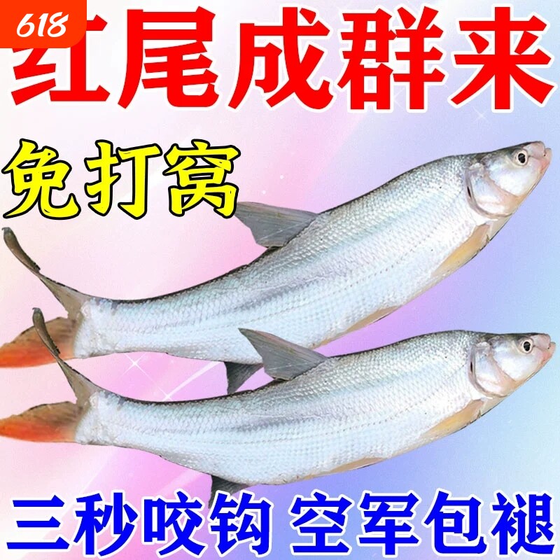 红尾专用饵料湖泊野河垂钓黄红尾爆护专用腥香鱼食诱鱼小药打窝料