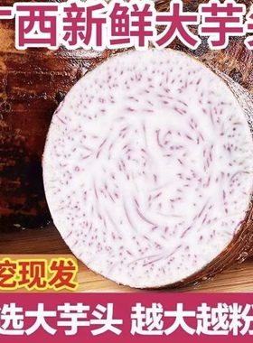 【地标授权】广西荔浦芋头新鲜大芋头正宗槟榔芋现挖毛芋头新货