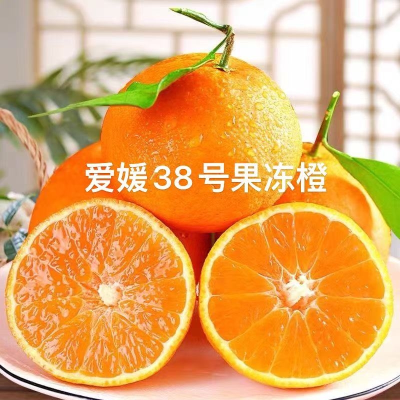 果冻橙爱媛38号果冻橙应季橙子可以吸的橙子新鲜水果孕妇小孩可吃