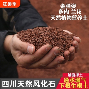 风化土颗粒风化石土壤盆景下山桩生根专用铺面通用型小叶多肉种植