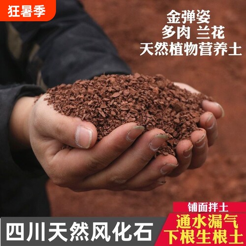 风化土颗粒风化石土壤盆景下山桩生根专用铺面小叶多肉种植兰花