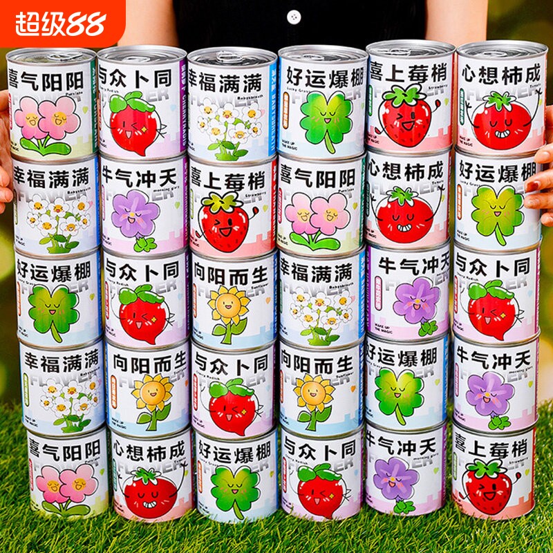 学生小礼品种植罐头网红小盆栽幼儿园桌面创意小礼物植物盲盒毕业