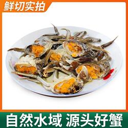 鲜活六月黄大闸蟹螃蟹产地固城湖河蟹香辣蟹公蟹1-2两精品蟹水产