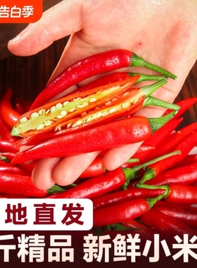 小米辣椒新鲜5斤批发朝天椒特辣泡椒红小尖椒指天椒超辣红辣椒10