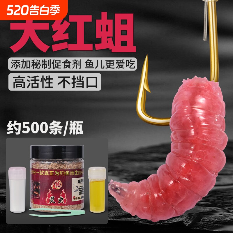 新鲜活红蛆虫脓腥钓鱼饵红蛆虫大号可钓石斑马口白条鲤鲫鱼溪哥