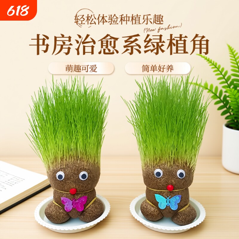 趣味长草娃娃小盆栽草头娃娃猫草桌面水培绿植好养儿童观察小植物