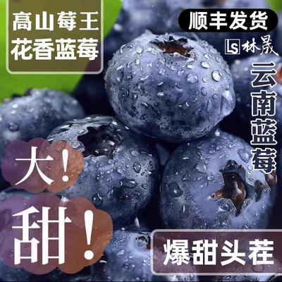 云南高山花香蓝莓头茬鲜果特大果怡佳颗沃应当季水果整箱顺丰