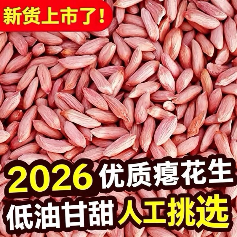 山东瘪花生当季新货低油甘甜图片