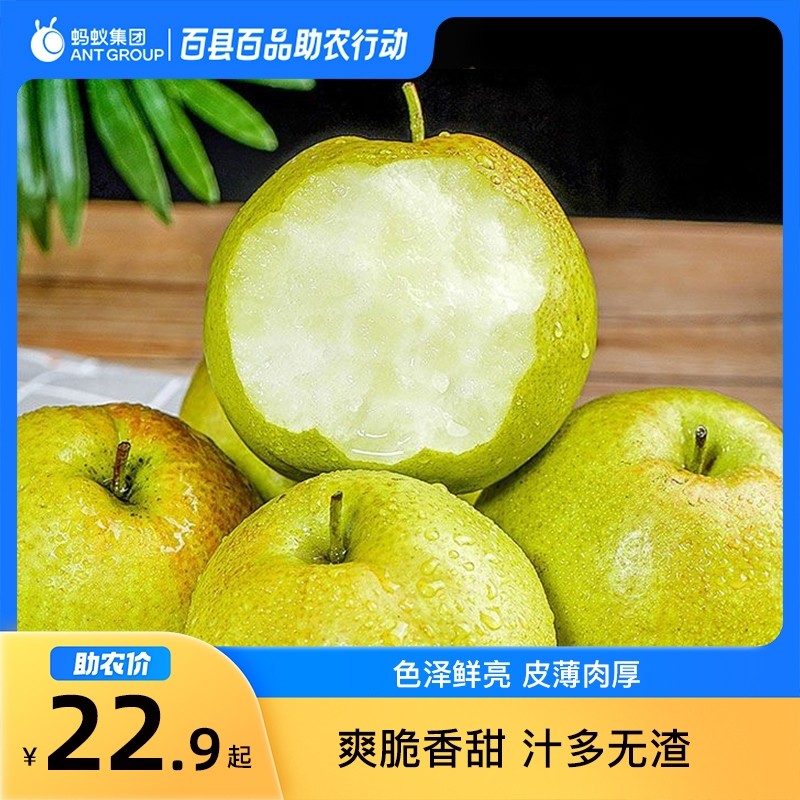 8月百县百品民权县新鲜玉露香梨3斤起上门送货酥脆,水产肉类/新鲜蔬果/熟食,梨,淘宝优惠券,粉丝福利购,淘宝优惠卷